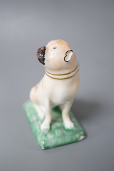 A Derby pug dog of large size, c.1810-30, naturalistically painted, sitting on his haunches incised mark for Isaac Farnsworth 8cm